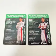 Item thumbnail for item 4de76105-b2f6-424d-8d8d-79e85c19b3f9