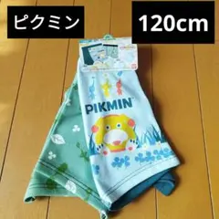 Item thumbnail for item 39b1fd01-a2b4-4c9f-8b93-6e179c4fc647