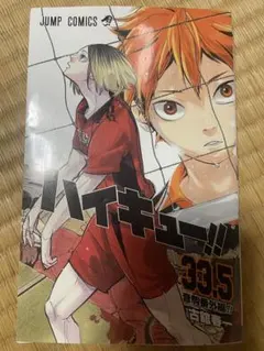 ハイキュー!! 33.5巻 音駒番外編　明日14時までの出品