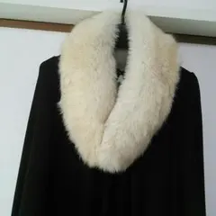 可愛いサガフォックス（SAGAFOX）リアルファー