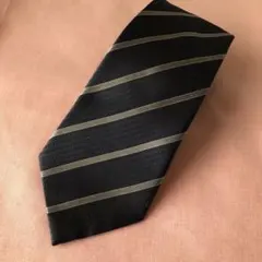 Item thumbnail for item 89291de3-c9a7-457b-a380-cf2abc8710c8