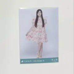 乃木坂46 生写真　妖精　井上和　ヒキ