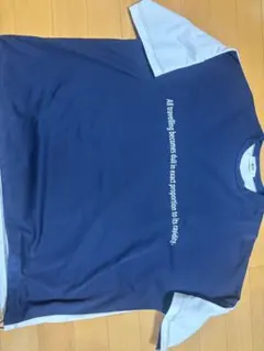 WEGO 半袖Tシャウエッセン