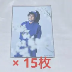 ミュージカル 忍たま乱太郎 忍ミュ 14弾 再演 ブロマイド 久々知兵助 15枚