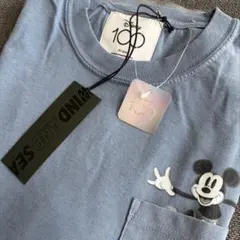 wind and sea disney 100周年 コラボ スティッチ ロンT - メルカリ