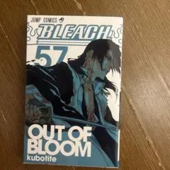 BLEACH ブリーチ 57巻