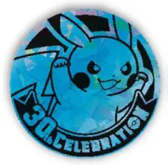 中国限定 ポケモン 30周年 ピカチュウ コイン 仕様⑦ BLUE ICE