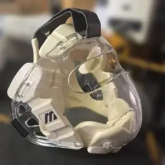 Item thumbnail for item 0b41470c-a31a-4913-8214-6f2b67cdf7ad