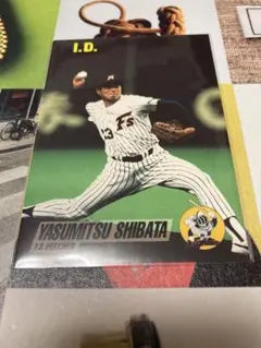 TOMY ID1993日本ハムファイターズ 柴田保光 ハイナンバー#336裏02のサムネイル