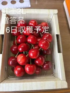 さくらんぼ 紅王 良品 贈答品クラス 700グラム - メルカリ