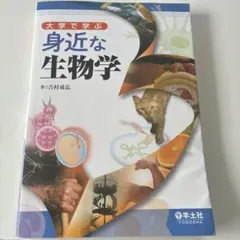 A*K様 吉村弘 LP2枚セット 2025年最新】吉村弘の人気アイテム - メルカリ