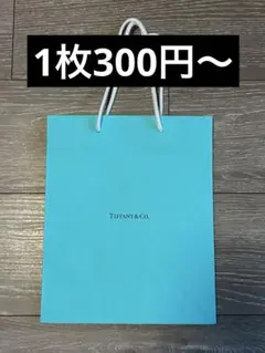 【Tiffany、CHANEL、DIORなど】ブランドショッパーのサムネイル