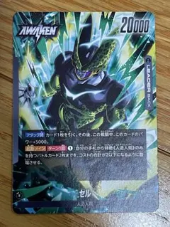 セル FB10-097 リーダーカード