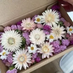 ドライフラワー花材セット　No.88