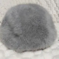 Item thumbnail for item c78371c7-6293-4723-adb0-874ee49ea03d