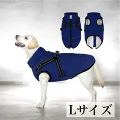 Item thumbnail for item 0c50c58b-99d1-4881-aa09-966aff163122