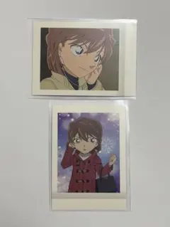 名探偵コナン 灰原哀 ぱしゃこれ 2枚セット