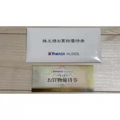 即時郵送【5,000円相当】ヤマダ電機 お買物優待券 10枚 (期限6月30日)