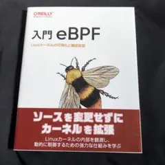 入門eBPF : Linuxカーネルの可視化と機能拡張