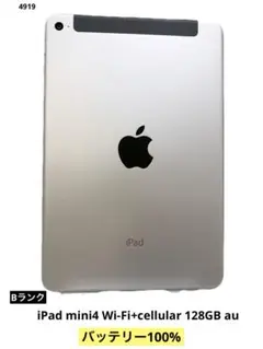 畠山裕稀 專用Apple iPad mini4 128GB スペースグレー 2025年最新】APPLE ipad 128の人気アイテム - メルカリ 畠山裕稀 專用