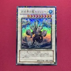 2025年最新】氷結界の龍トリシューラ dtの人気アイテム - メルカリ