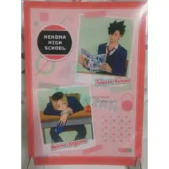 《限定完売品》音駒 新品未開封 ハイキュー クリアファイル 教室