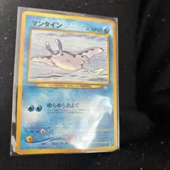 世界204枚 PSA10 イブキのマンタイン カードe 2001 051 12 2026年最新】イブキのマンタインの人気アイテム - メルカリ
