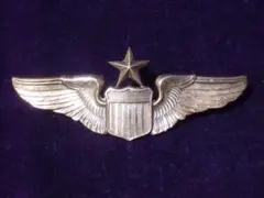 アメリカ海軍のパイロット資格章（Naval Aviator Badge アメリカ海軍のパイロット資格章（Naval Aviator Badge - メルカリ