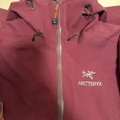 ヨッシー様専用 値下げ アークテリクス セイバーパンツ メンズ S