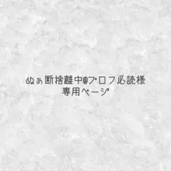 ぬぁ断捨離中@プロフ必読様 専用ページ