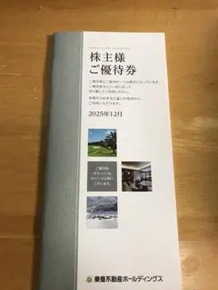 【最新・匿名配送】東急不動産　株主優待　100株分