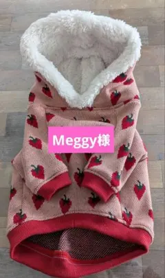 Item thumbnail for item 9d4e163b-ff25-49e2-8038-1e29b6ee5880