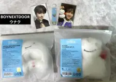 BOYNEXTDOOR プネクド ウナク　キーリング ペンライトカバー セット