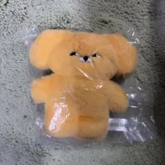 WASABI BEAR ぬいぐるみ　Mustard Bear