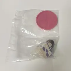 【まどマギ】魔法少女まどか☆マギカ ぷちばーす フィギュア ほむら