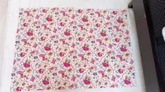 Item thumbnail for item c04e34d9-8268-4a0e-bda9-6ccc717df8ab