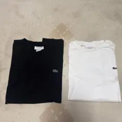 LACOSTE Tシャツ 2枚セット