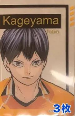 ☆ ハイキュー!!　ファンパーク　箔押しクリアカード　影山飛雄