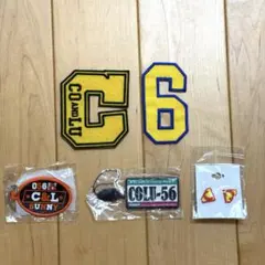 COCOLULU ココルル ワッペン キーホルダー ピアス まとめ