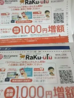 4まい ビックカメラ ラクウル1000円増額券