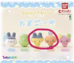 たまごっち　ガチャガチャ