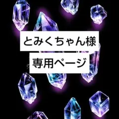 とみくちゃん様専用ページ
