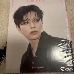 Straykids DO IT アコーディオン スンミン