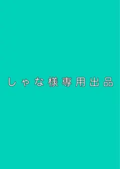 しゃな様専用
