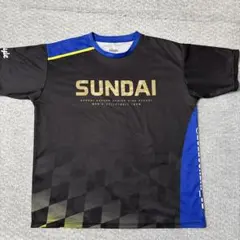 SUNDAI バレーボール シャツ 2022年 SUNDAI バレーボール シャツ 2022年の通販はau PAY マーケット - 輸入