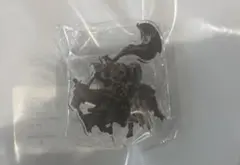 エルデンリング ナイトレイン ダッチェス ガレージキット - メルカリ