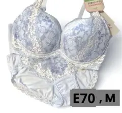 E70 ショーツ L トリンプ 天使のブラ ブラジャー ショーツ セット 水色