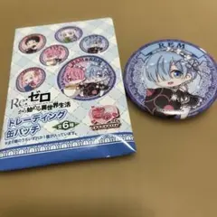 Re：ゼロから始める異世界生活　リゼロ　ぎゅぎゅっと　缶バッジ　レム
