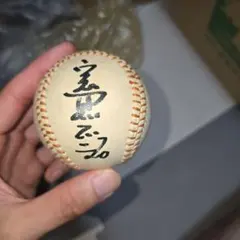 ジャンアンツ　サインボール