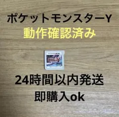 ポケットモンスターY データ有